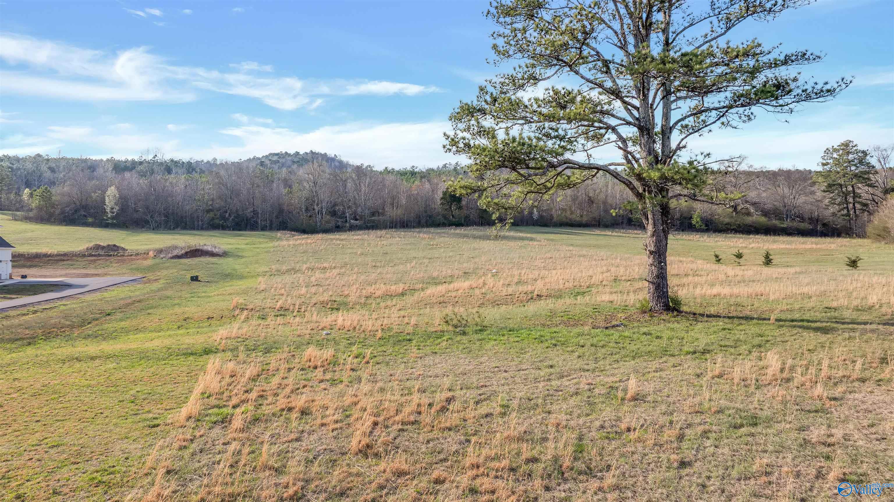 5 Us Hwy 11, Collinsville, Alabama image 5
