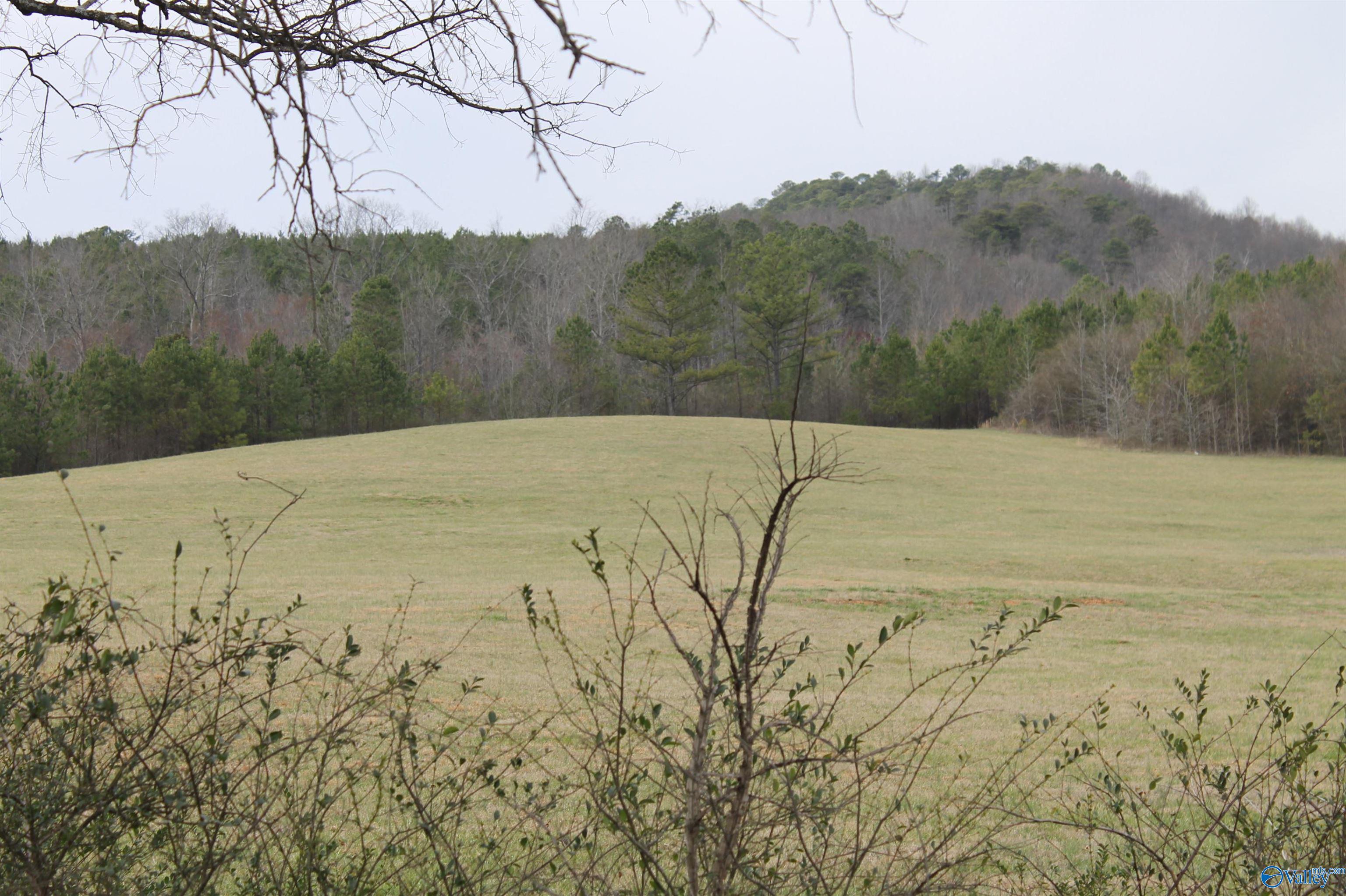 5 Us Hwy 11, Collinsville, Alabama image 7