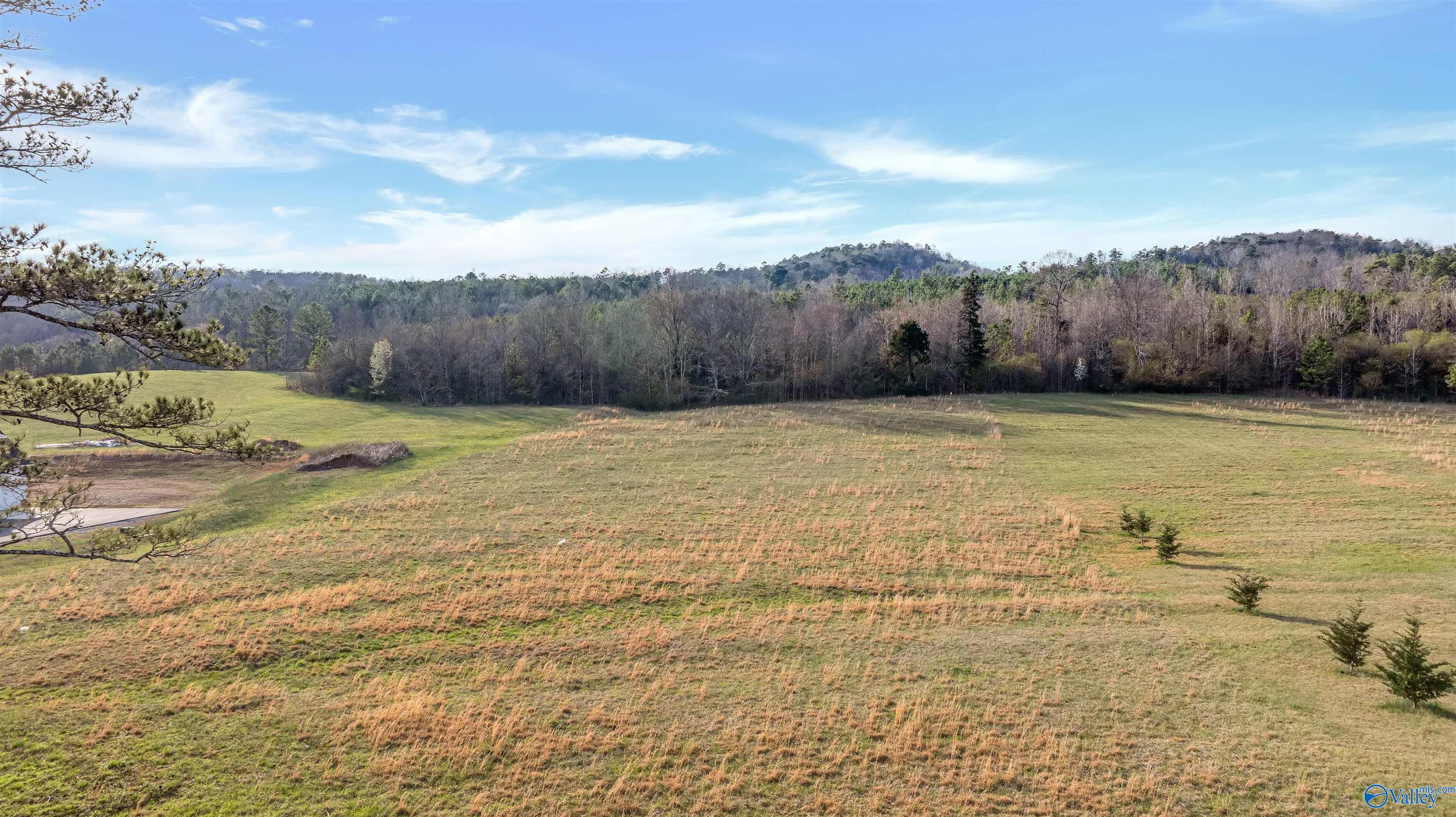 5 Us Hwy 11, Collinsville, Alabama image 6