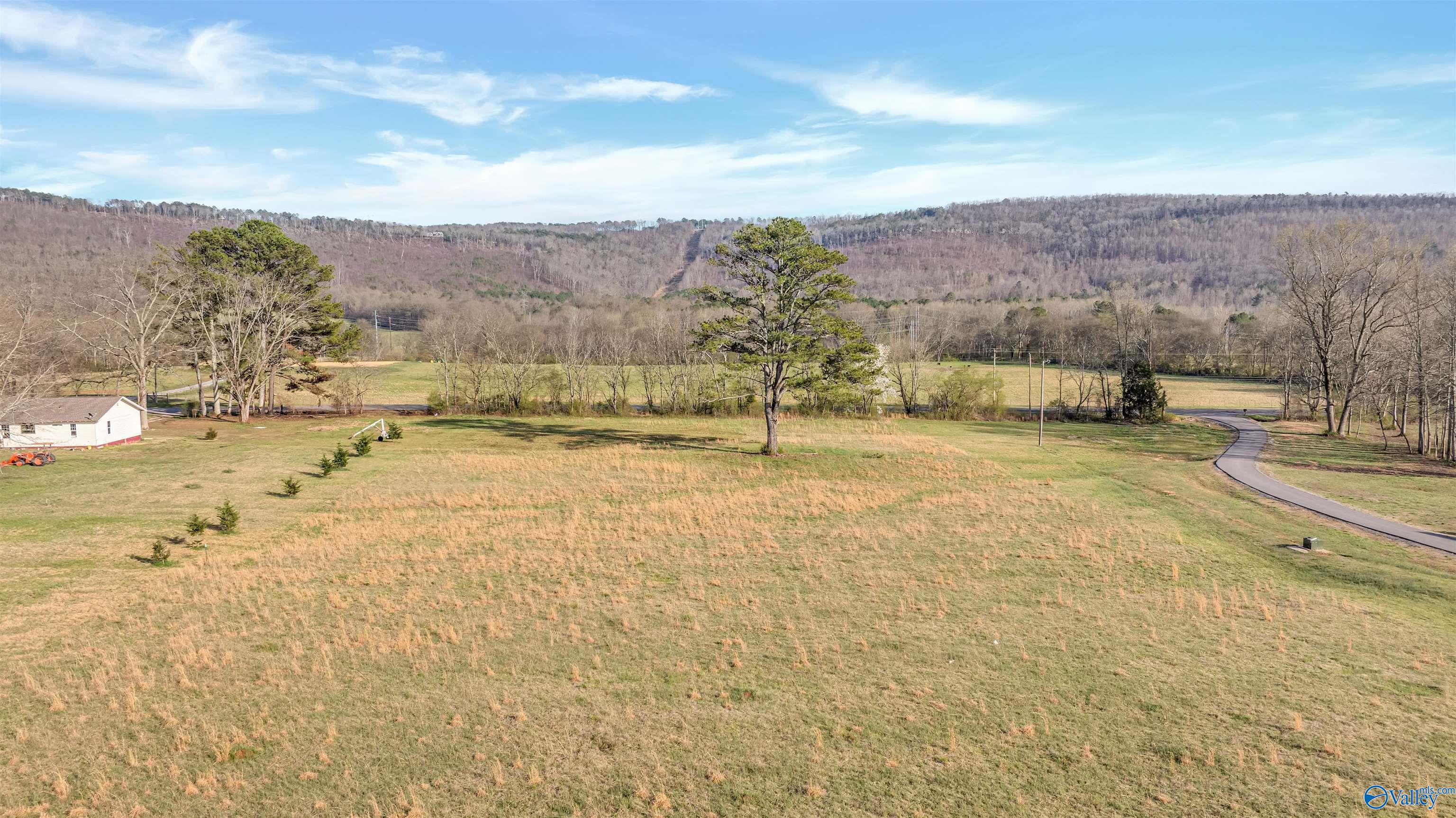 5 Us Hwy 11, Collinsville, Alabama image 1