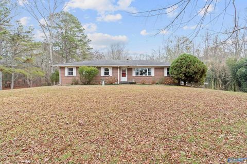 Photo of 165 Smith Drive, Attalla, AL 35954 (MLS # 21905468)