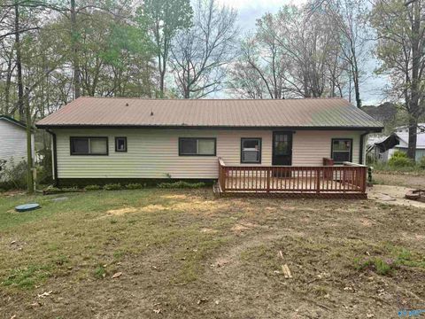 Homes For Sale - 40 County Road 311<br/> Leesburg, AL 35983