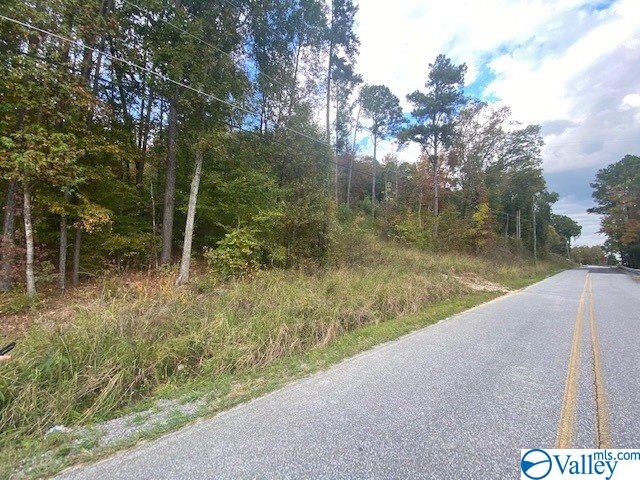 4 Lister Ferry Road, Rainbow City, Alabama image 7