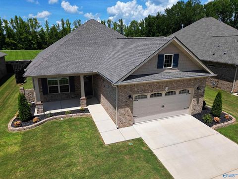 Homes For Sale - 9574 Abington Cove Boulevard<br/> Madison, AL 35757
