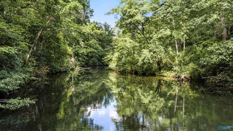 Vacant Land For Sale - 14.5 Road 948<br/> Mentone, AL 35984