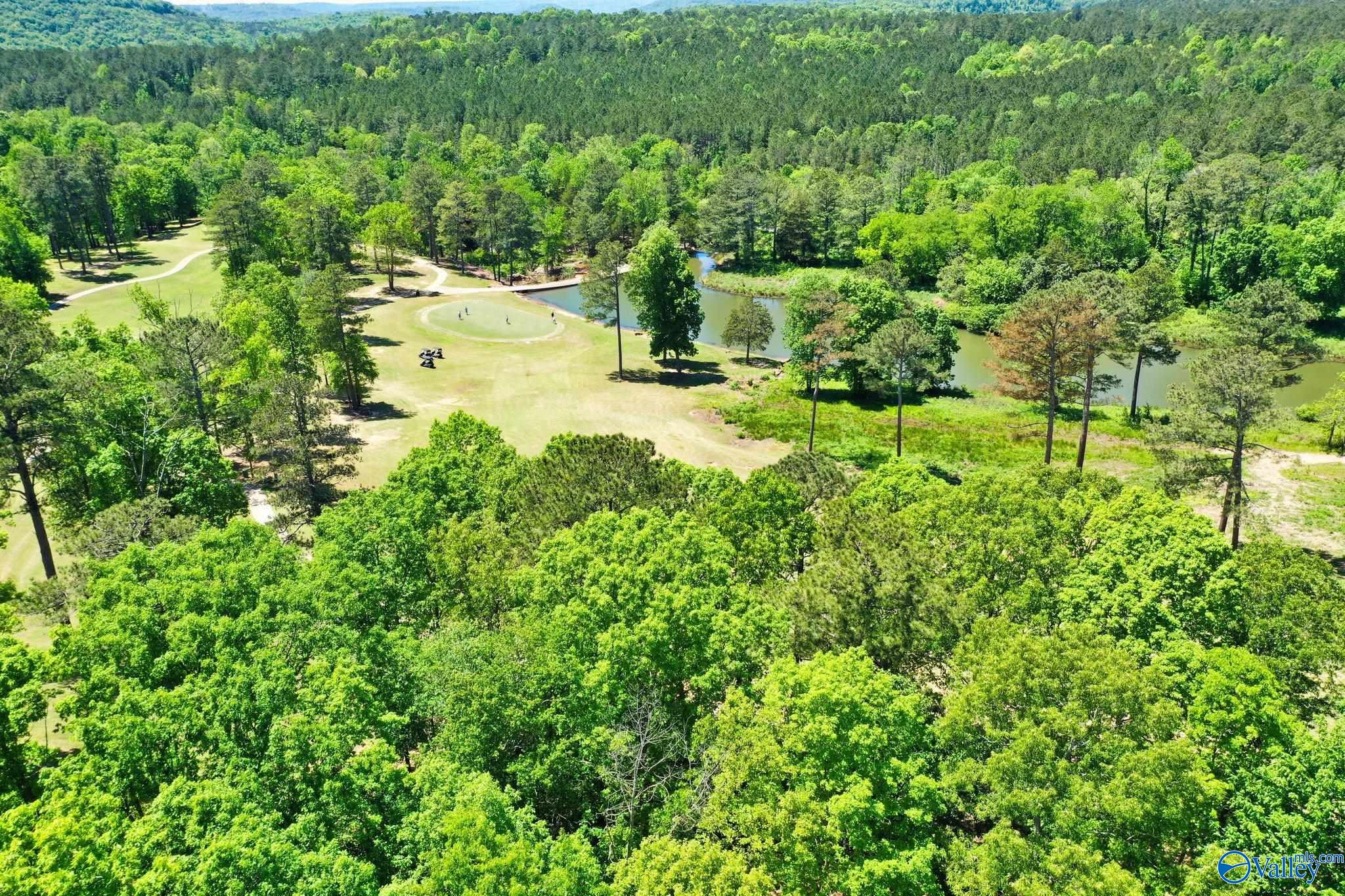 1439 Cherokee Ridge Drive, Union Grove, Alabama image 18