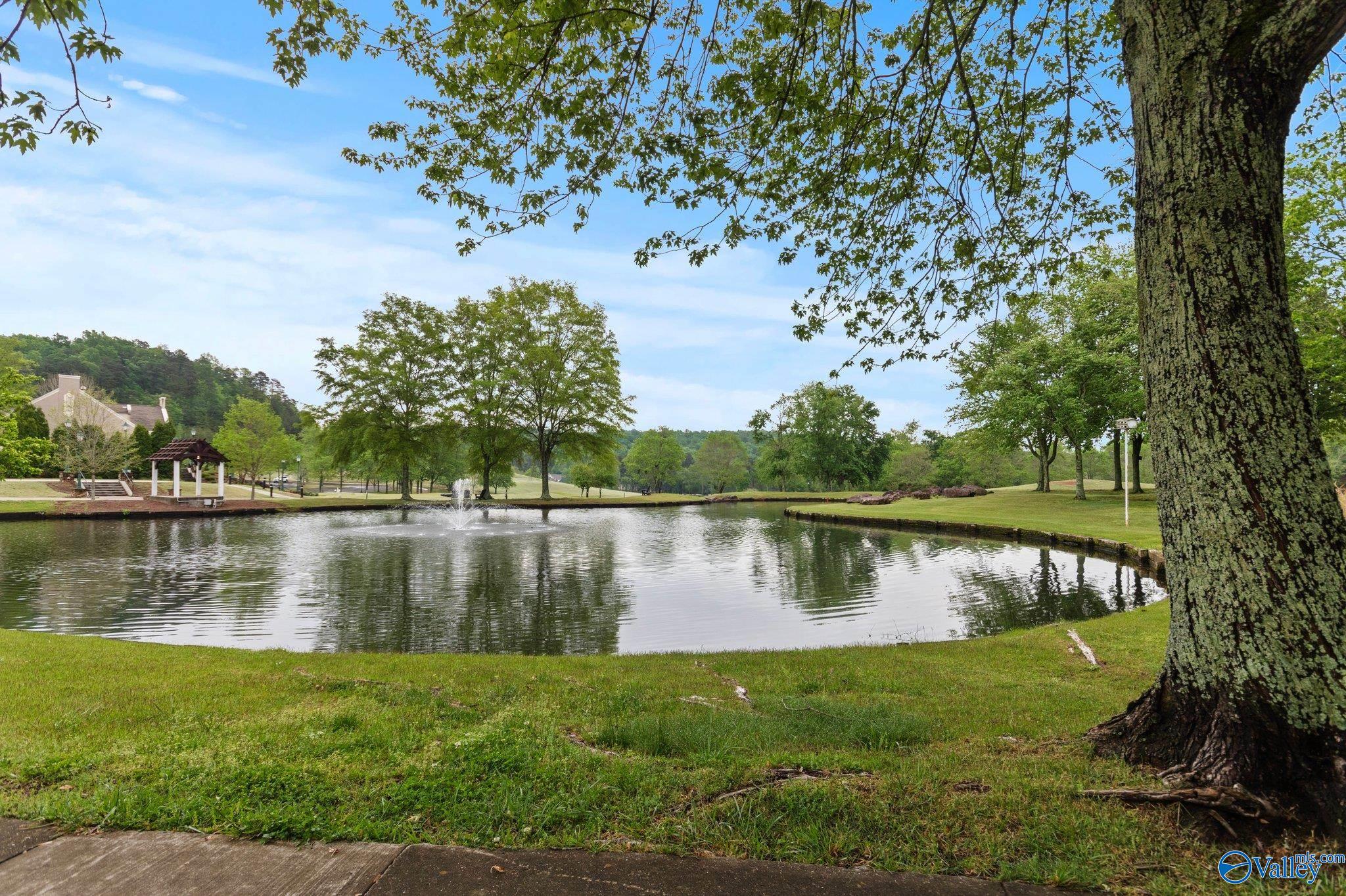 1439 Cherokee Ridge Drive, Union Grove, Alabama image 25