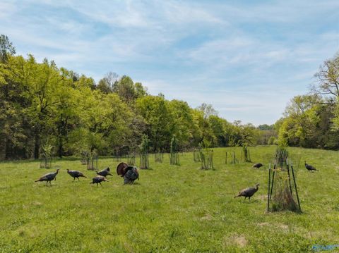 305 Ingram Road Pulaski TN 38478