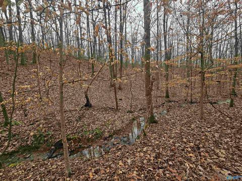 Vacant Land For Sale - 013 Toney Drive<br/> Etowah County, Attalla, AL 36950