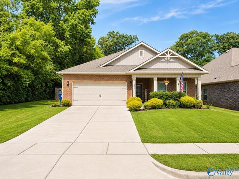 Homes For Sale - 264 Falcon Ridge Drive<br/> Madison County, New Market, AL 35761