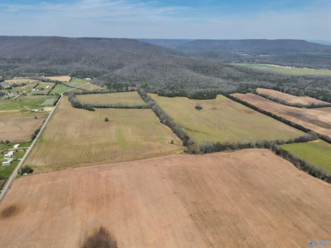 Vacant Land For Sale - 160 ACRES County Road 530<br/> Jackson County, Scottsboro, AL 35768