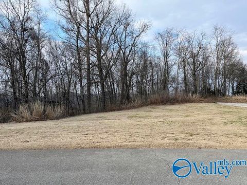 Vacant Land For Sale - 151 Ledge View Drive<br/> Madison County, Huntsville, AL 35802