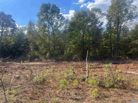 Vacant Land For Sale - LOT 3 TRACT 3 Summer Breeze Drive<br/> Cherokee County, Cedar Bluff, AL 35959