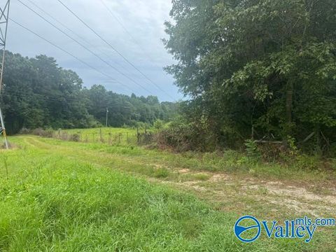 Homes For Sale - 196 County Road 230<br/> Hollywood, AL 35752