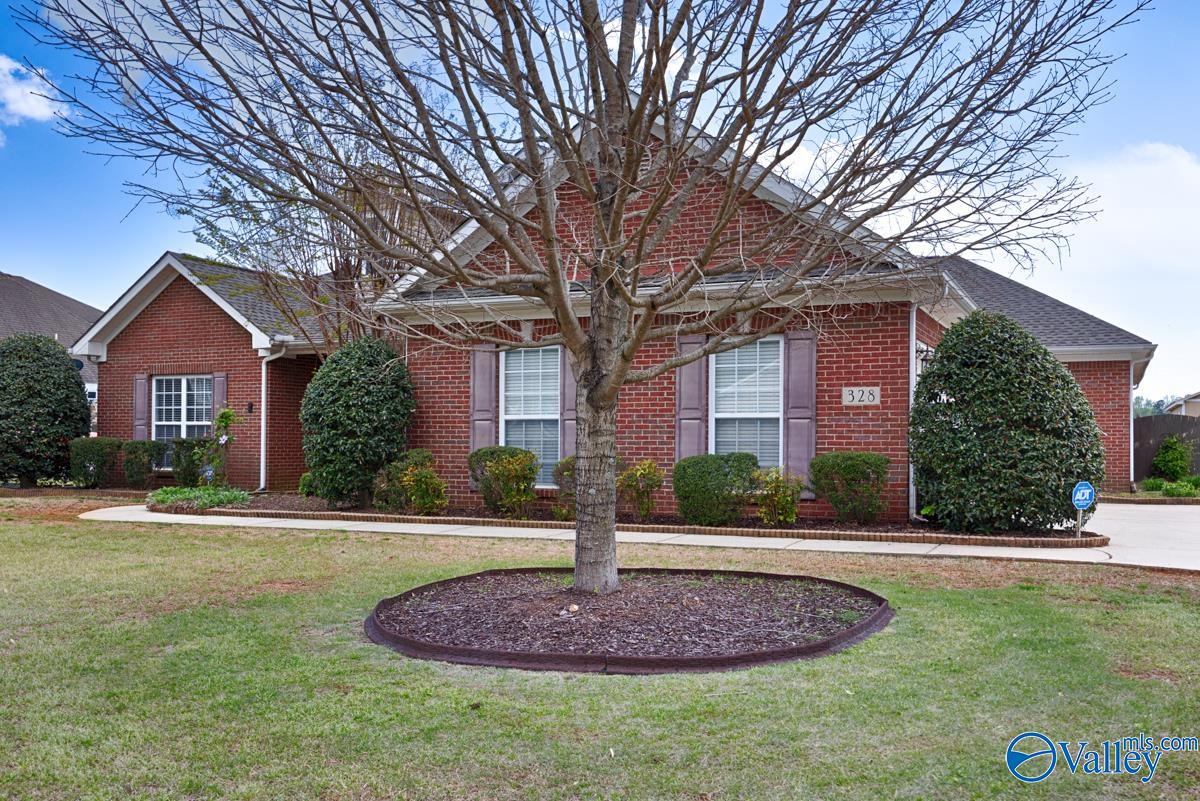 328 Northlake Drive, Meridianville, Alabama image 43