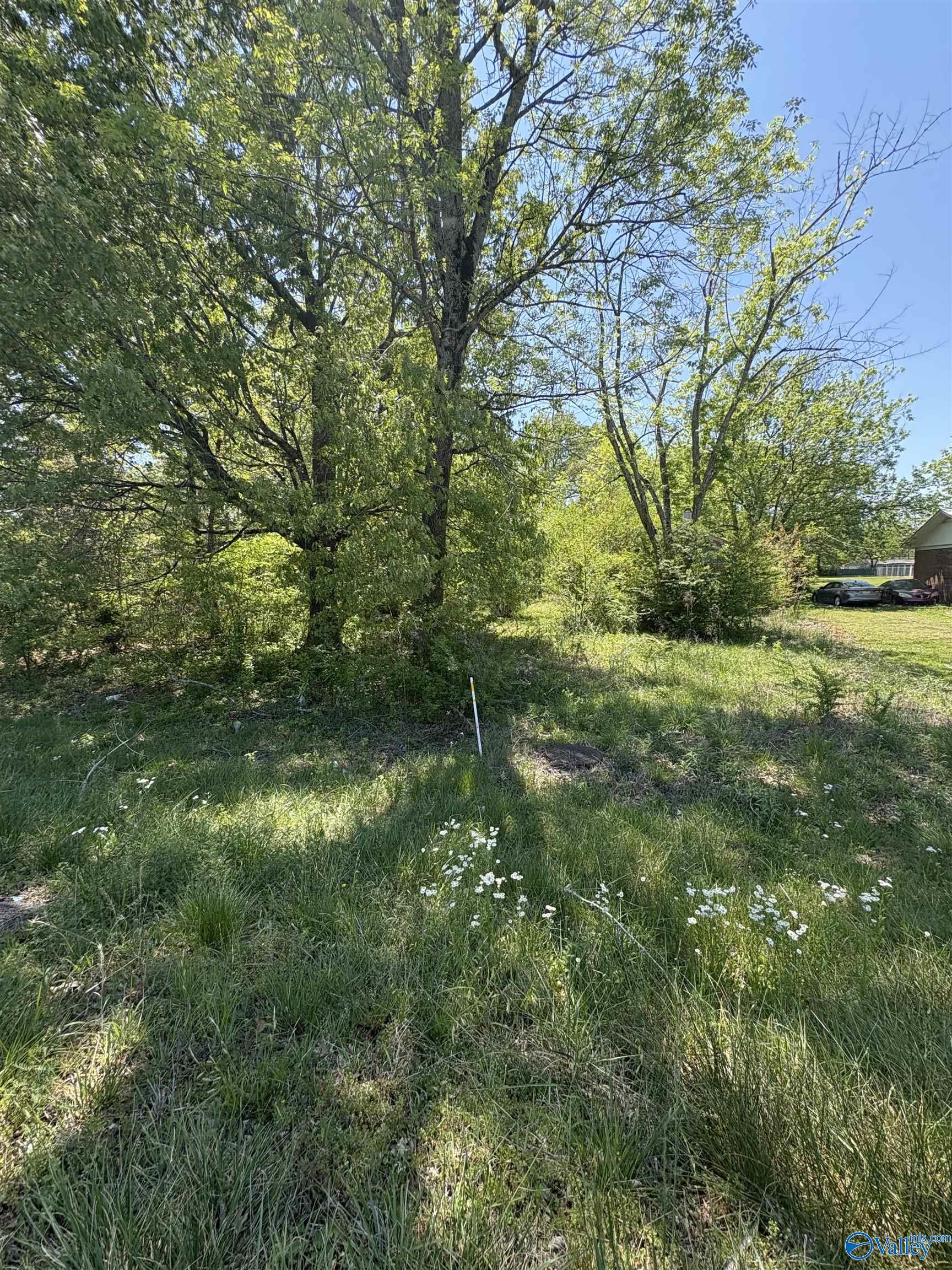2906 Veterans Drive