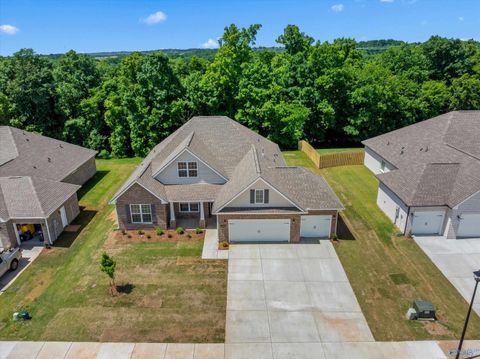 Photo of 16375 Sunfish Lane NW, Harvest, AL 35749 (MLS # 21917138)