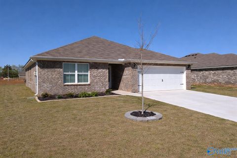 Homes For Sale - 114 Domingues Avenue<br/> Meridianville, AL 35759