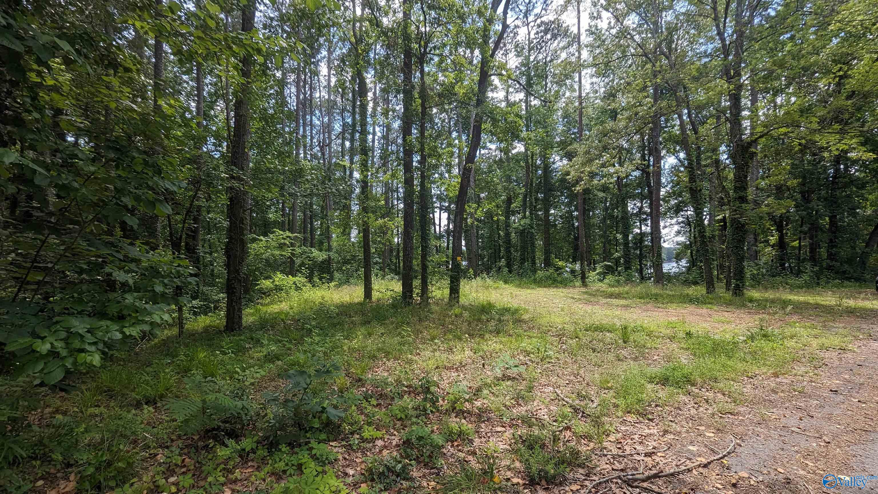 60 County Road 426, Centre, Alabama image 7