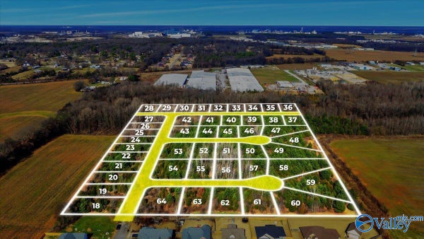 15 OWENSBY WAY, TRINITY, AL 35673 - Image 3fc34c68d4ee8cb85b282841b451e94a/2635622564