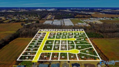 15 ACRES Owensby Way Trinity AL 35673