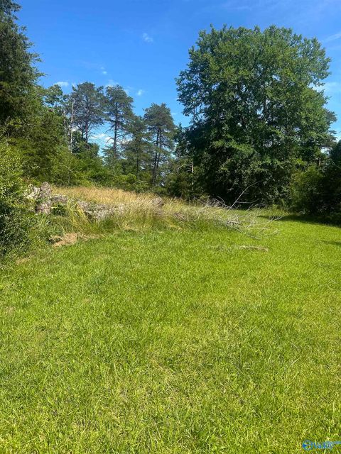 Vacant Land For Sale - 4146 Alabama Highway 176<br/> Fort Payne, AL 35967