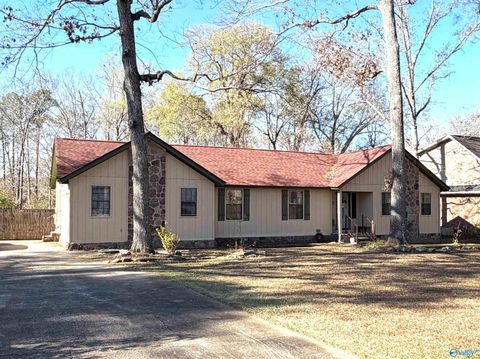 Photo of 204 Seville Lane, Rainbow City, AL 35906 (MLS # 21905651)