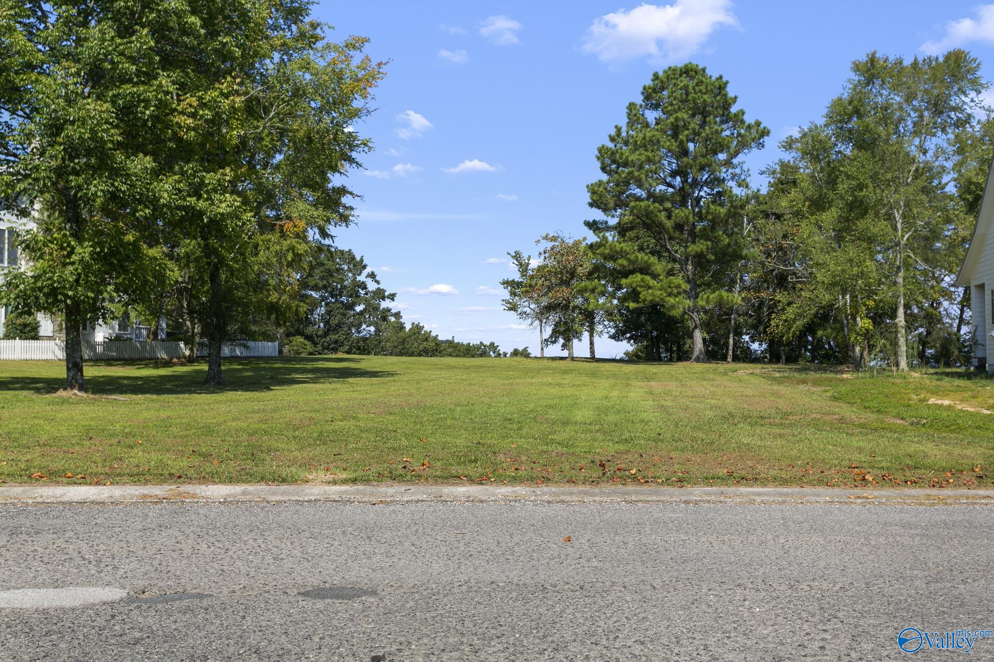 Lot 375 Main Street, Pisgah, Alabama image 4