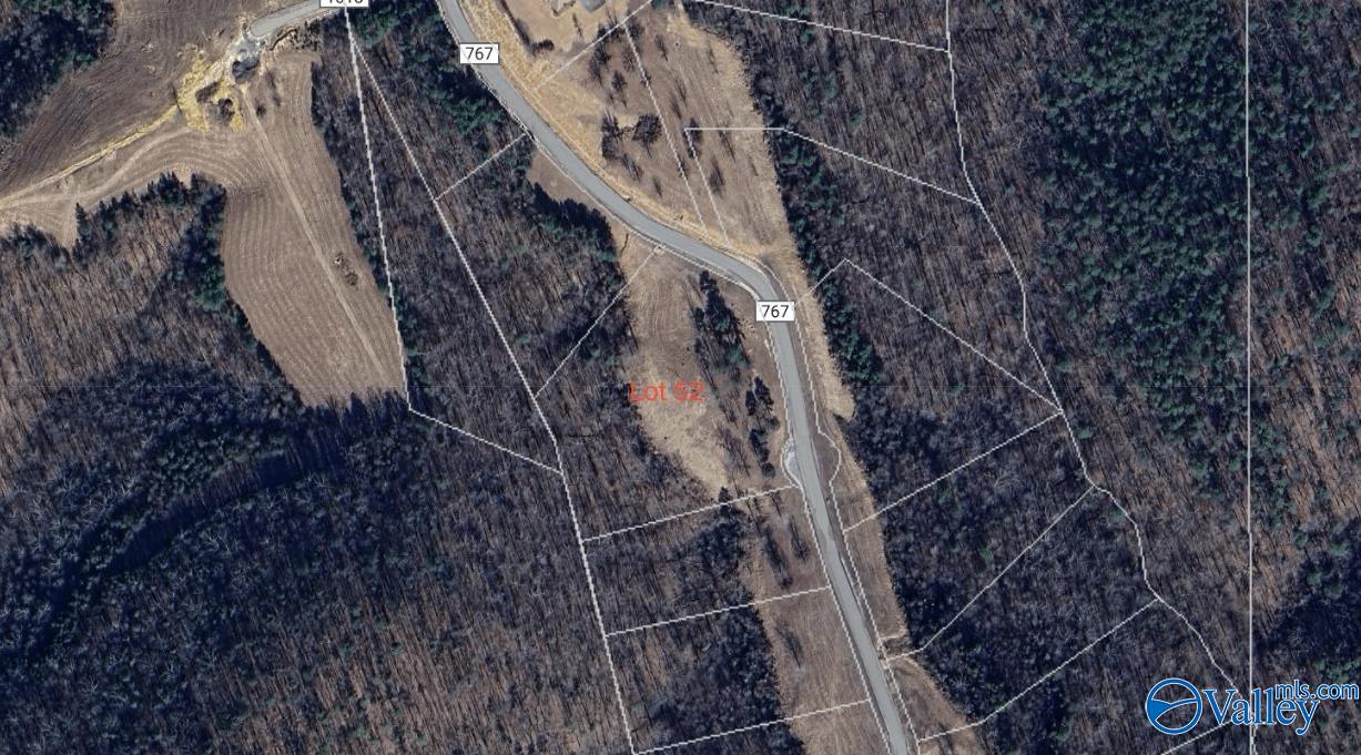 Lot 52 County Road 767 #LOT 52, Cedar Bluff, Alabama image 3