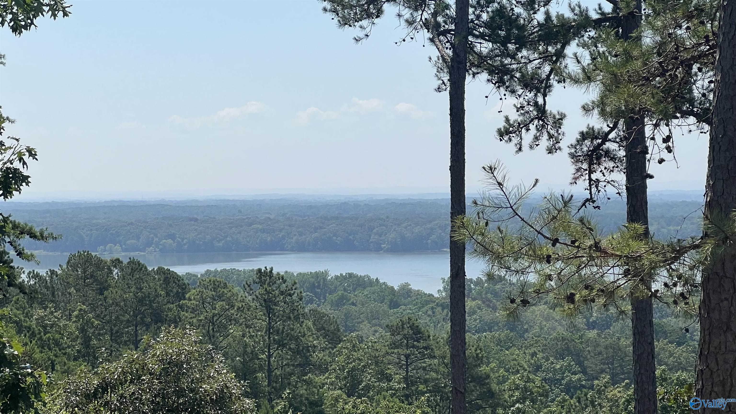 Lot 52 County Road 767 #LOT 52, Cedar Bluff, Alabama image 7