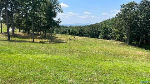 Vacant Land For Sale - LOT 52 County Road 767 #LOT 52<br/> Cedar Bluff, AL 35959