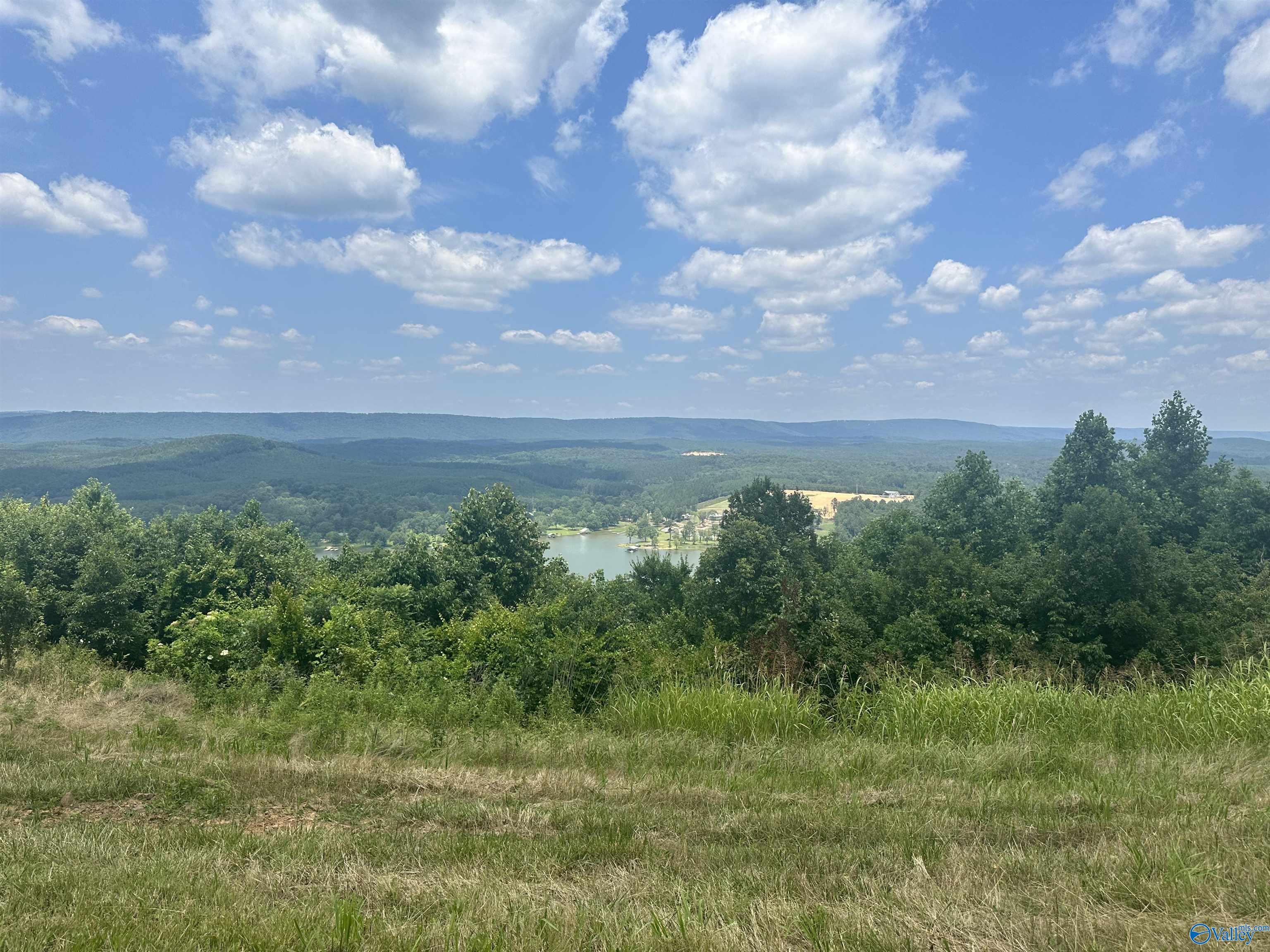 Lot 52 County Road 767 #LOT 52, Cedar Bluff, Alabama image 12