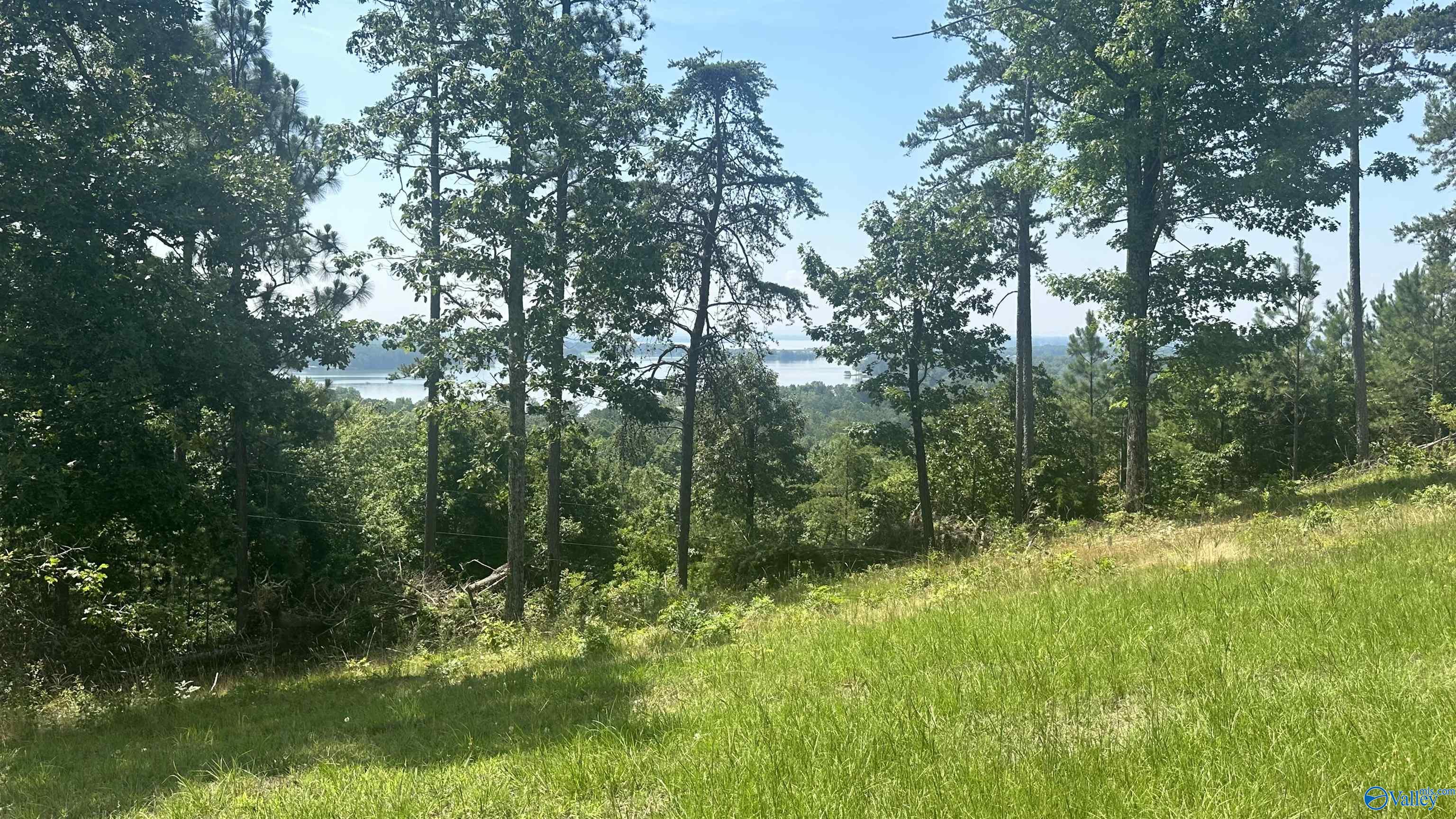 Lot 52 County Road 767 #LOT 52, Cedar Bluff, Alabama image 9