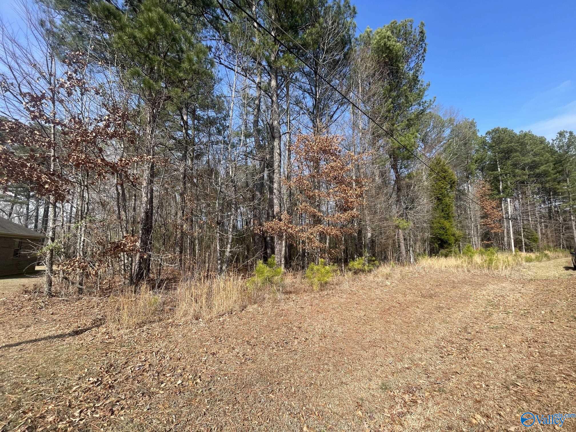 Lot 4 Indian Lake Drive, Rainbow City, Alabama image 3