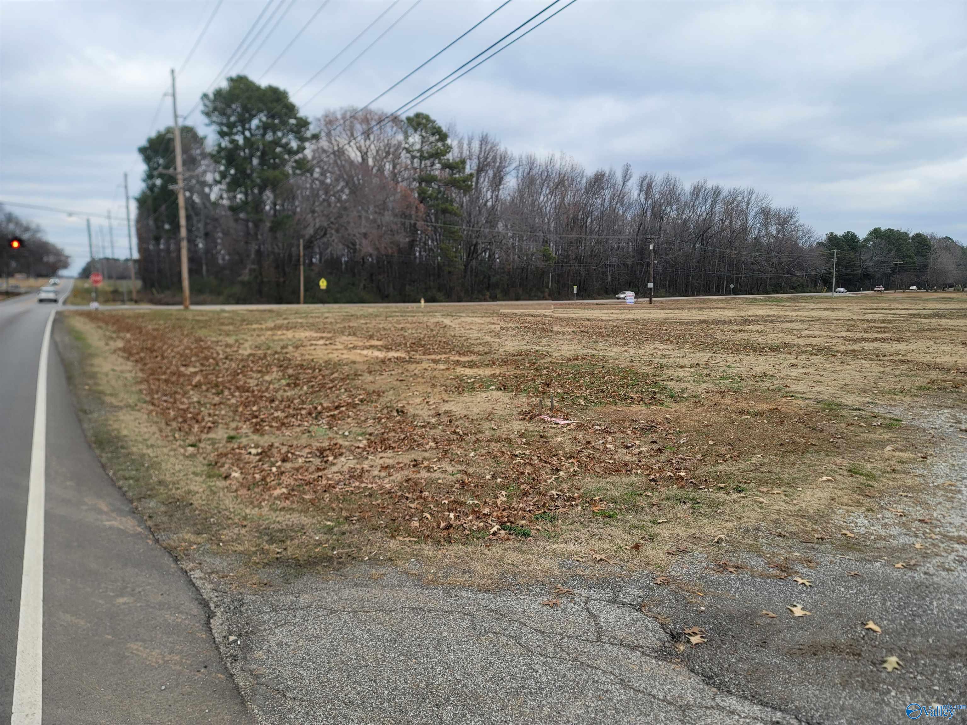 16296 Lucas Ferry Road, Athens, Alabama image 2