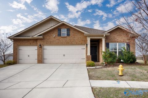 7009 Newland Court Huntsville AL 35806