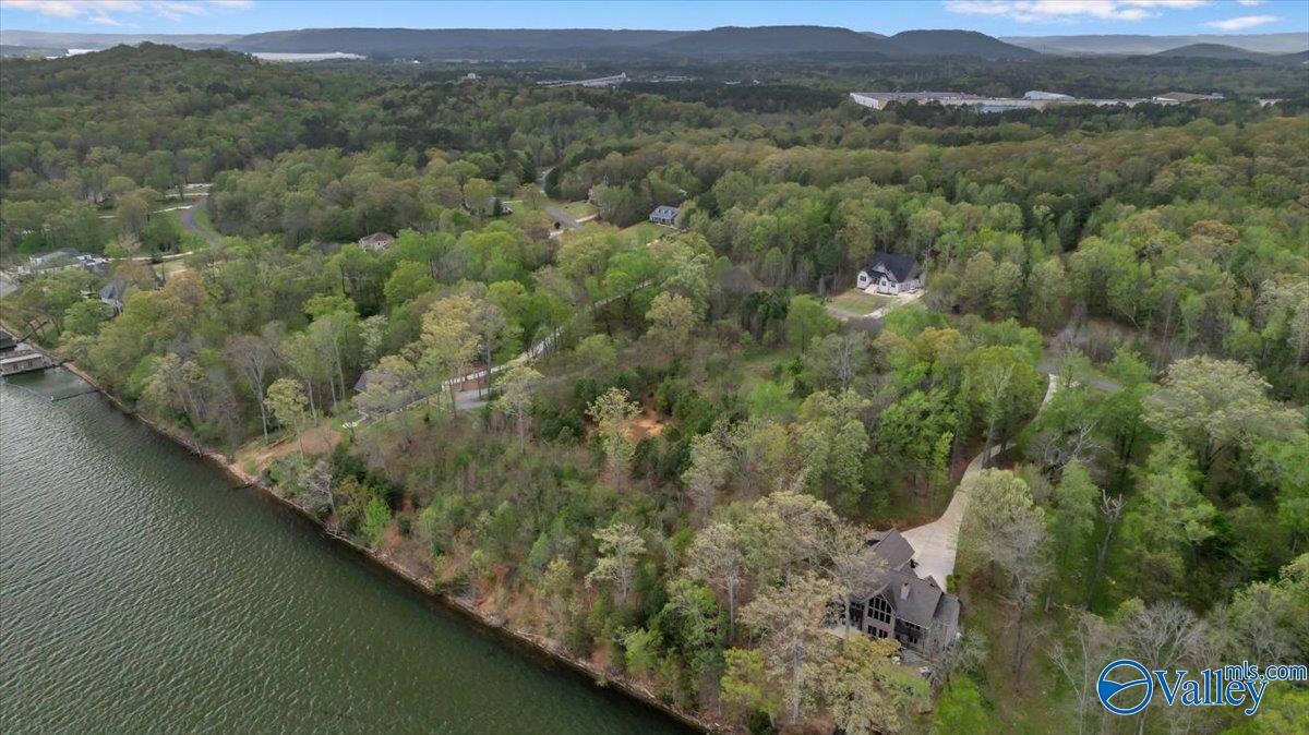 2215 Lookout Mountain Drive, Scottsboro, Alabama image 13