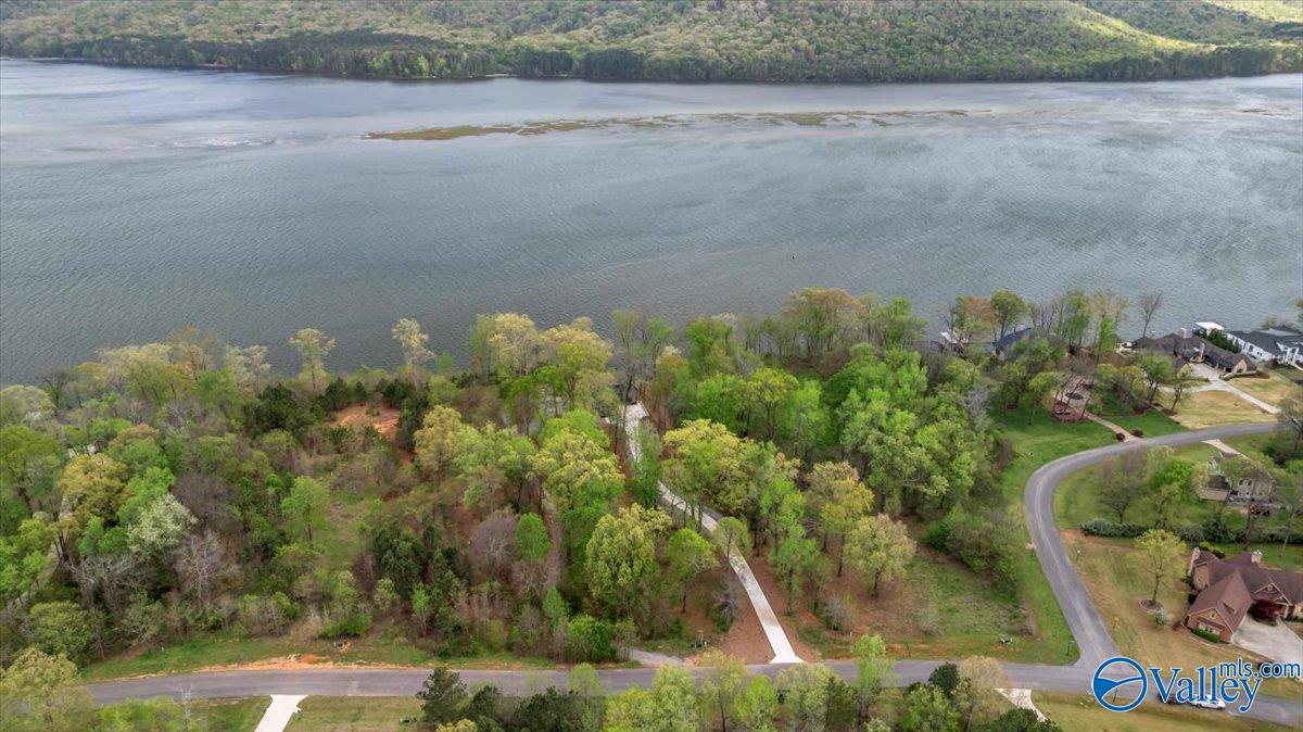 2215 Lookout Mountain Drive, Scottsboro, Alabama image 2