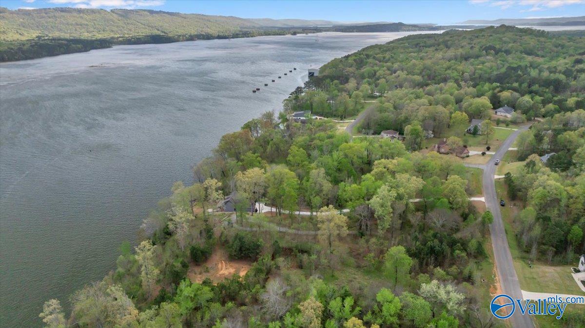 2215 Lookout Mountain Drive, Scottsboro, Alabama image 4