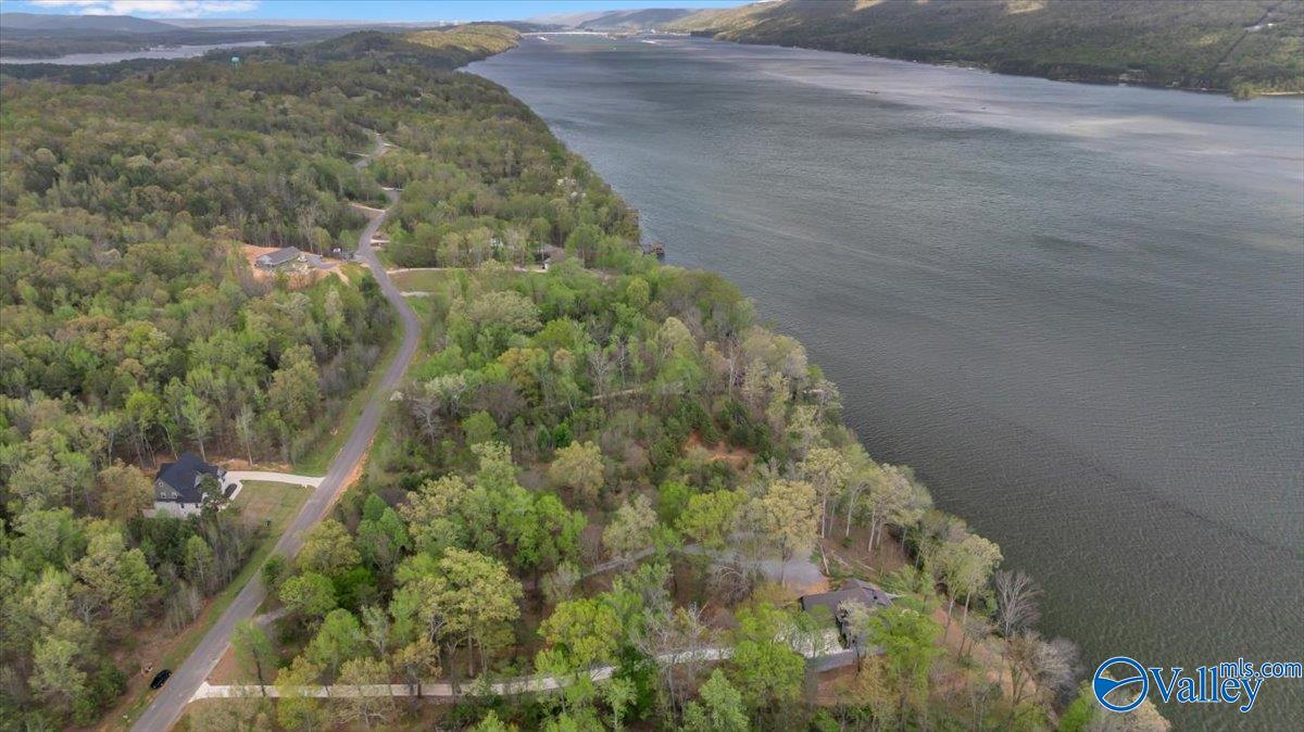 2215 Lookout Mountain Drive, Scottsboro, Alabama image 11