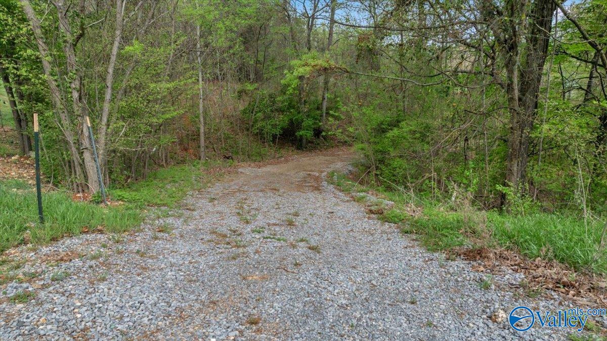 2215 Lookout Mountain Drive, Scottsboro, Alabama image 3
