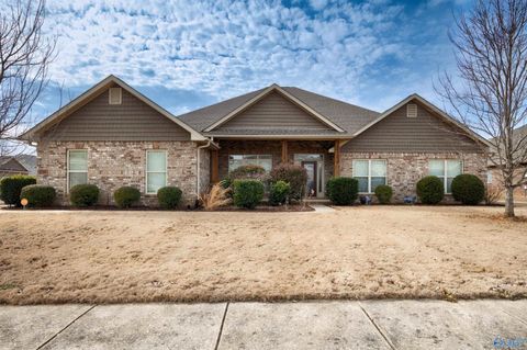 Photo of 116 Chesnut Heath Court, Madison, AL 35756 (MLS # 21909787)
