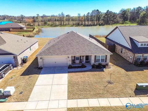 176 Beaver Brook Place Toney AL 35773
