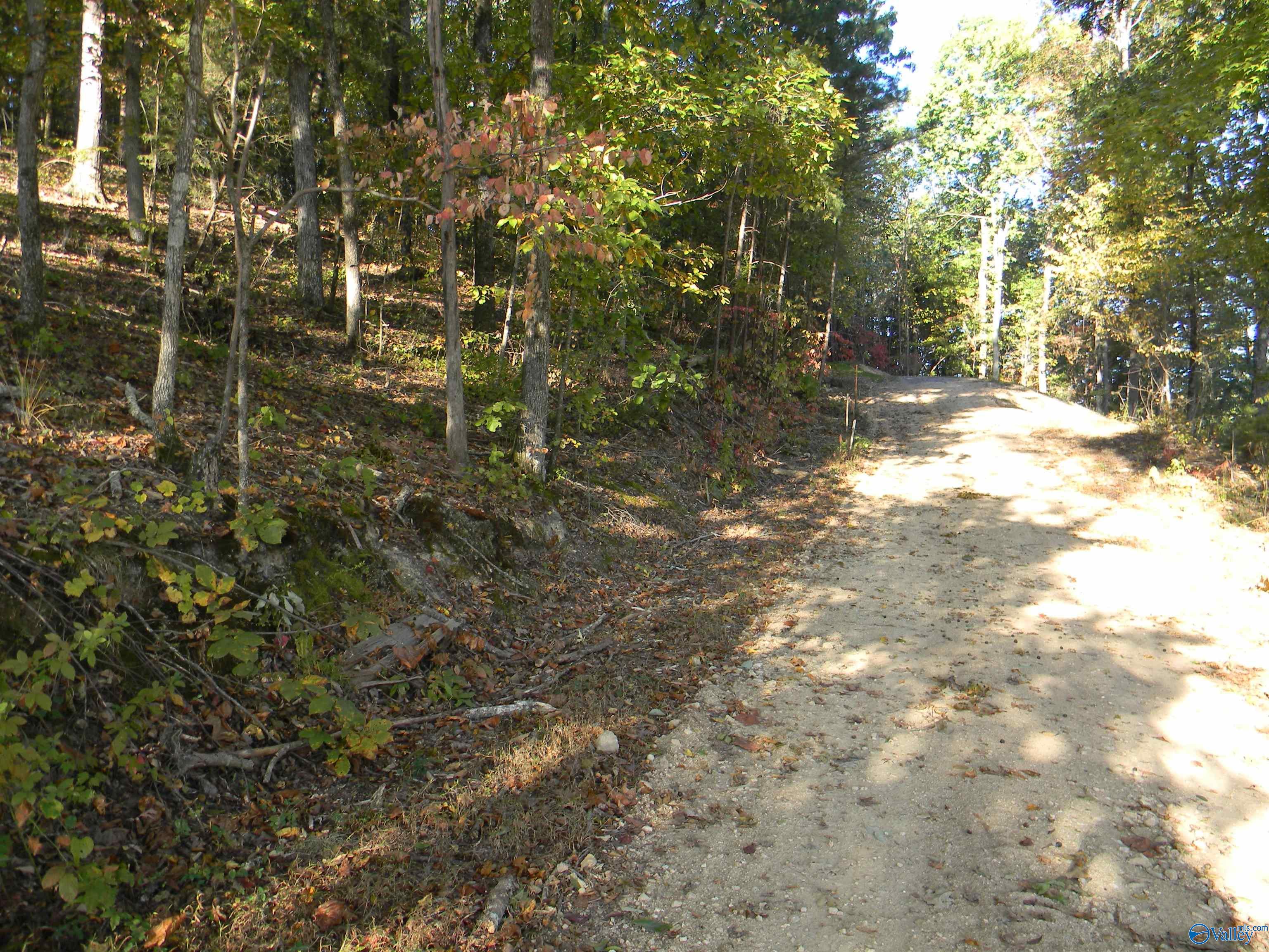 Lot 6 County Road 594, Leesburg, Alabama image 1