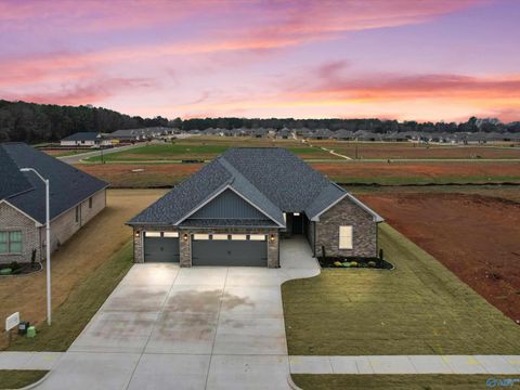 Homes For Sale - 141 Old Forest Road<br/> Madison County, Meridianville, AL 35759