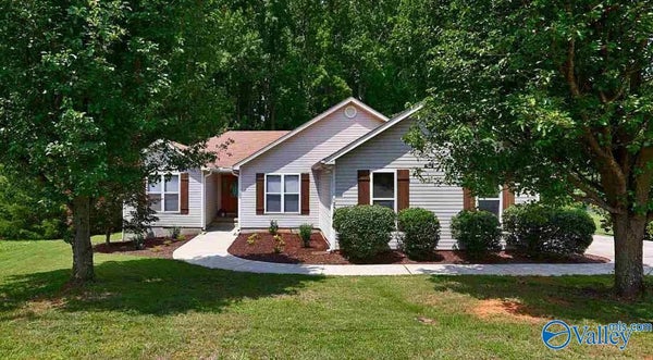 12594 HUTCHINS CIR, MADISON, AL 35756 - Image 4090316c82cc3b0a660a5e4d2ff62d81/73857937