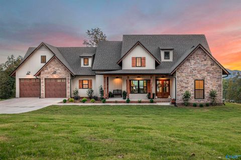 1125 Oak Ridge Southside AL 35907