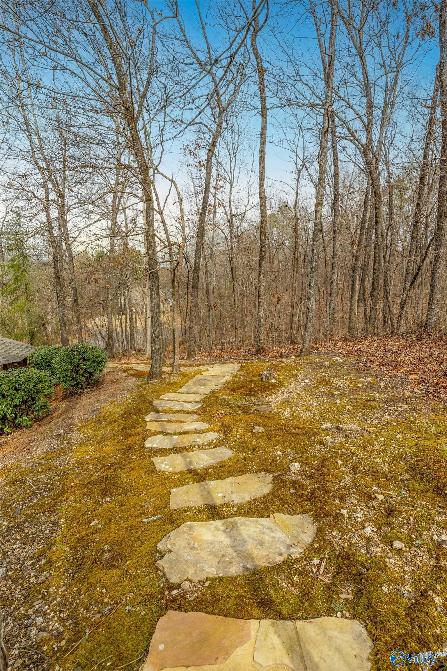 4209 Rollingwood Drive, Southside, Alabama image 46