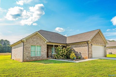 Homes For Sale - 21127 Tillman Mill Road<br/> Elkmont, AL 35620