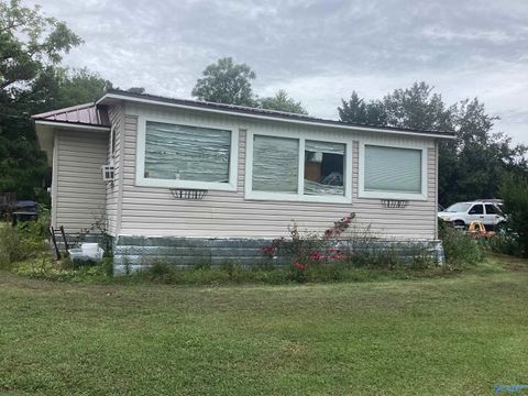 Photo of 1402 Green Valley Road, Glencoe, AL 35905 (MLS # 21917011)